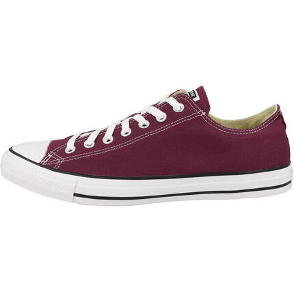 Baskets Converse Chuck Taylor All Star Seasonal, Blanc, Enfants