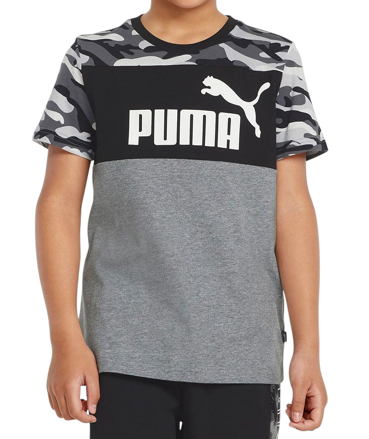 PUMA picture