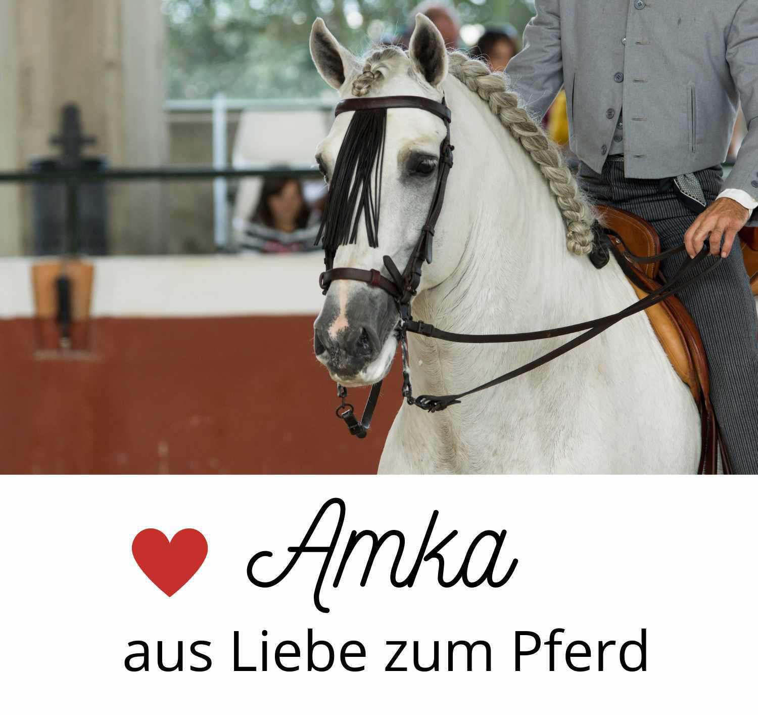 AMKA Spanische Schabracke 4/4