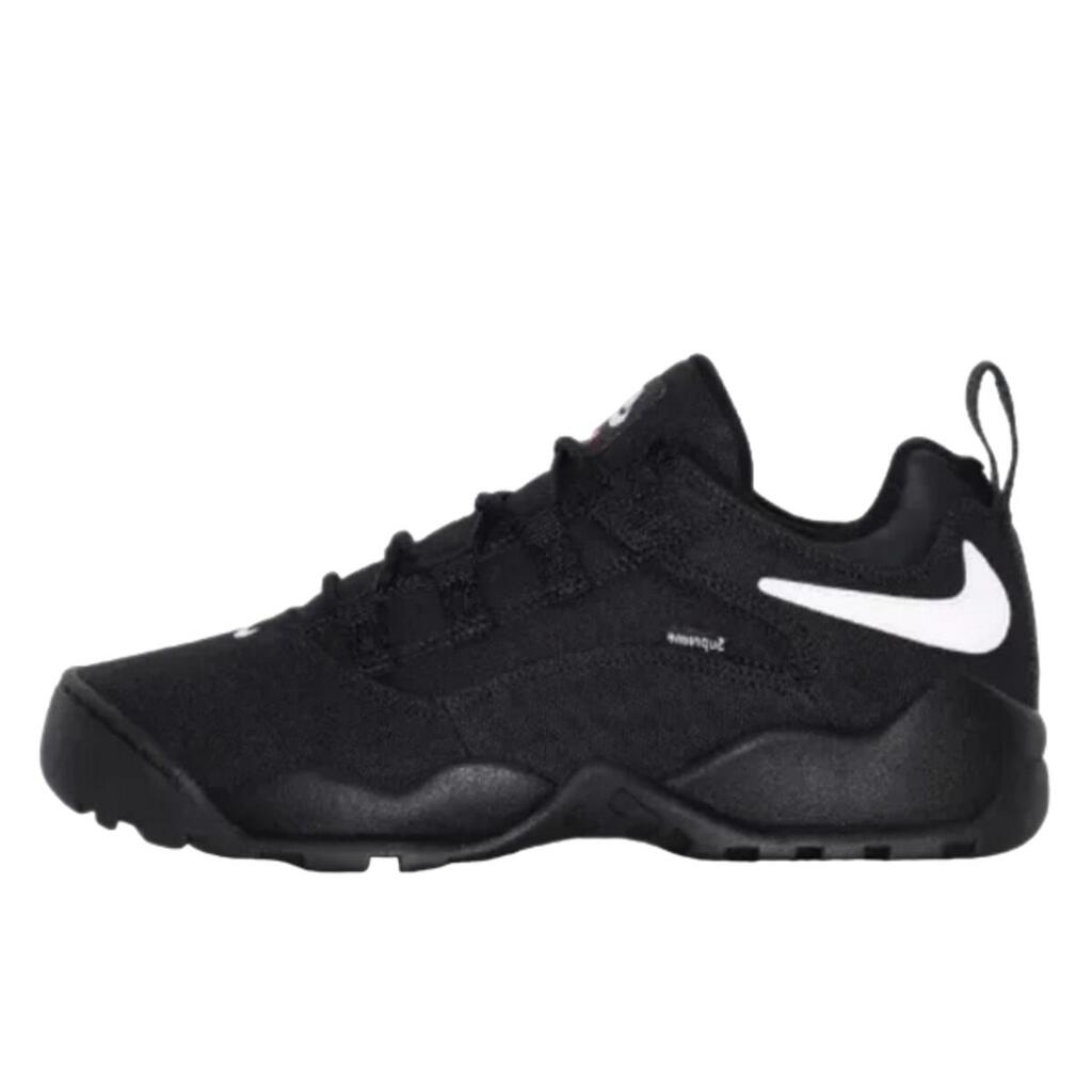 Shoes  SB Darwin Low Supreme Black