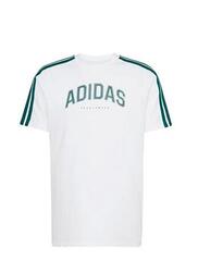 T-shirt Adidas modèle JJ3868 pour homme