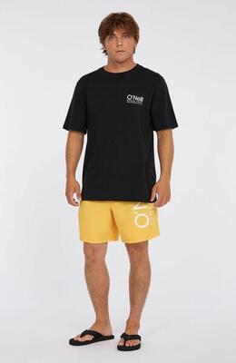 O'neill o'neill zwemkledij original cali 16'' swimshorts heren golden haze
