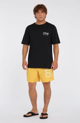 Short de bain O'Neill Original Cali 16