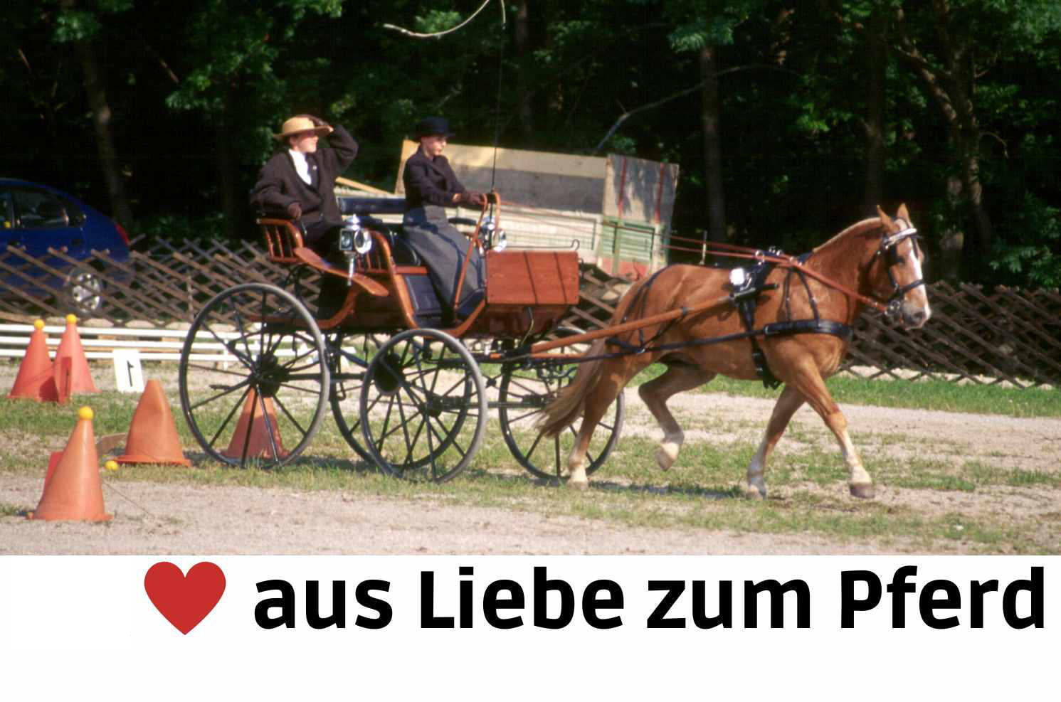 AMKA Leinenklemme mit Schraube 4/4