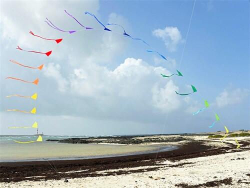 Einleiner Drachen Spiderkites Heavens Gate 30001 Regenbogen 18 m