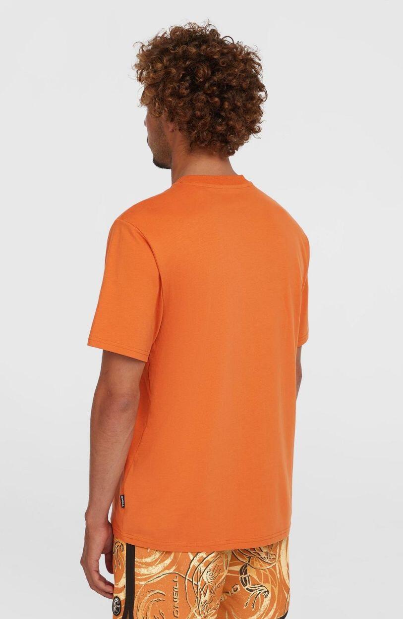 O'NEILL O'neill T-Shirts O'RIGINALS BADGE T-SHIRT  Hommes Cinnamon Stick 3/5