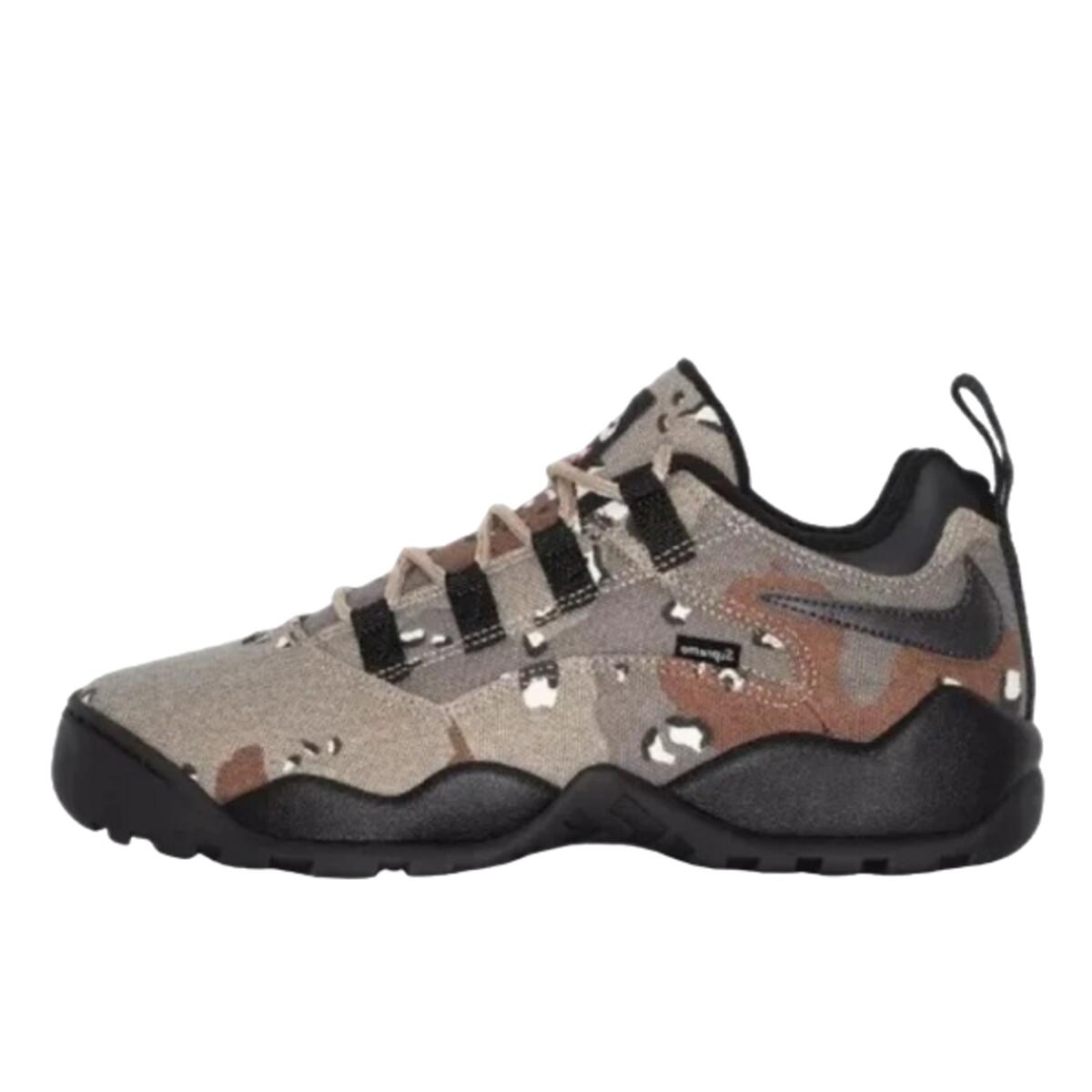 Scarpe  SB Darwin Low Supreme Desert Camo 1/2