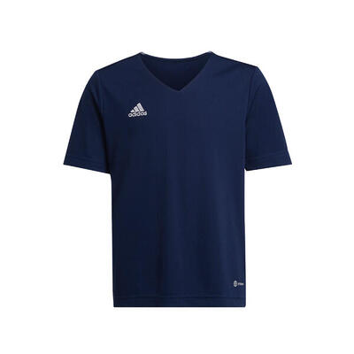 Adidas entrada22 jeugdshirt voor jongens en meisjes - team grijs vier