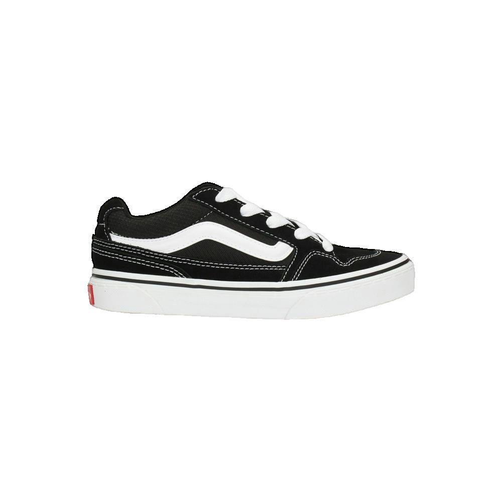 VANS picture