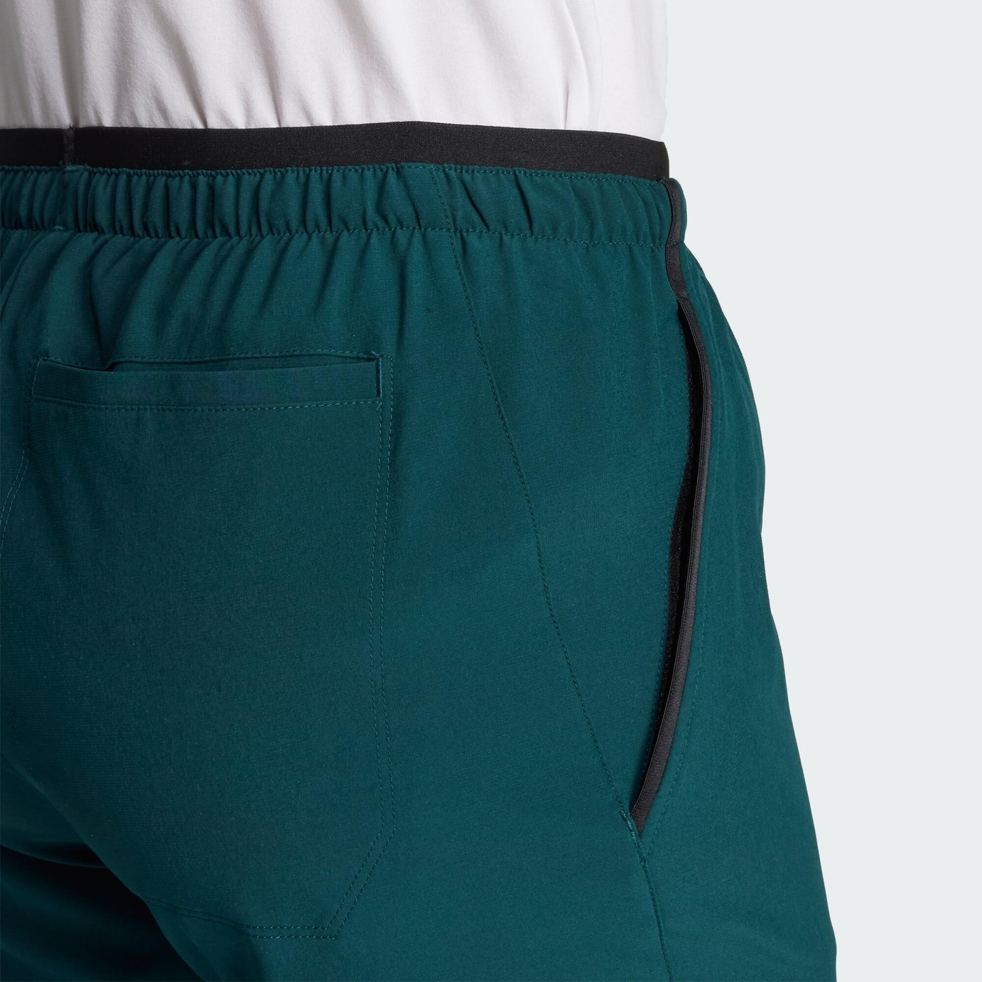 Pantalon Terrex Multi Liteflex 5/6