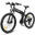 LO26-II-YD bicicletă electrică pliabilă pentru adulți, baterie 48V 14Ah, roți 26