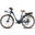 SAMEBIKE RS-A07 Bicicletă electrică de oraș cu baterie de 36V13AH