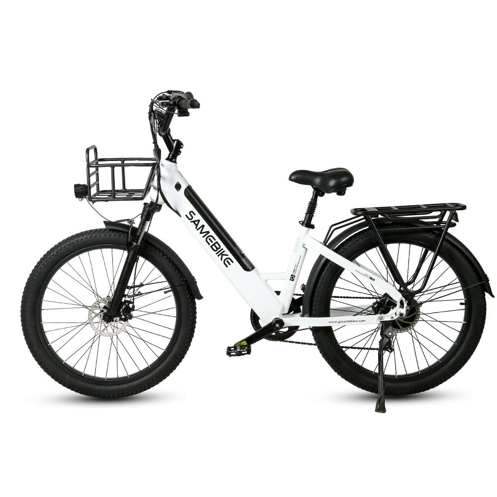 SAMEBIKE picture
