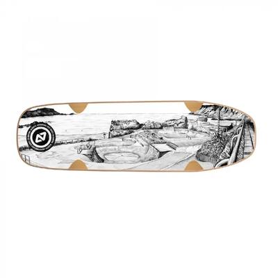 Skateboard hydroponic bullet pool shape mike