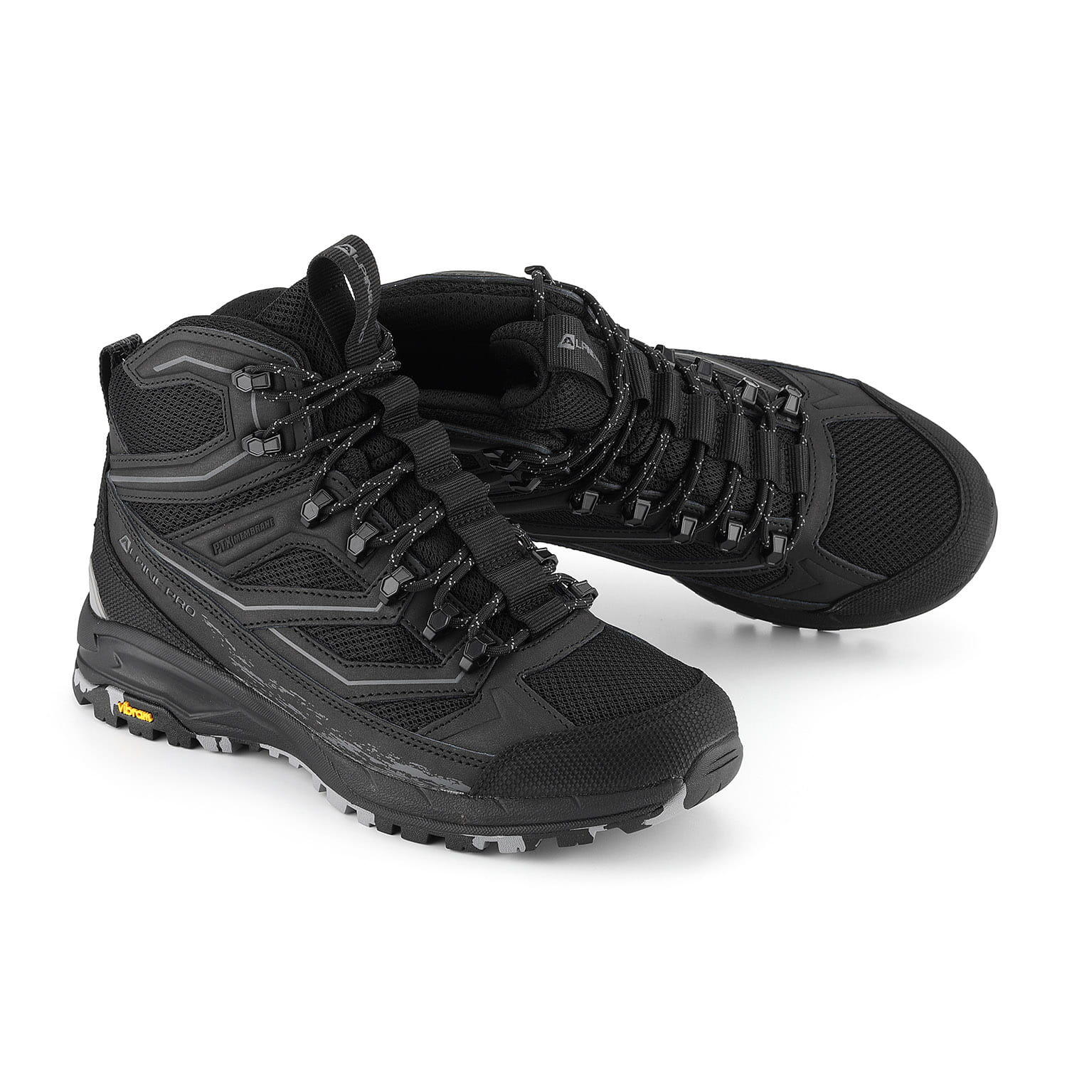 ALPINE PRO picture