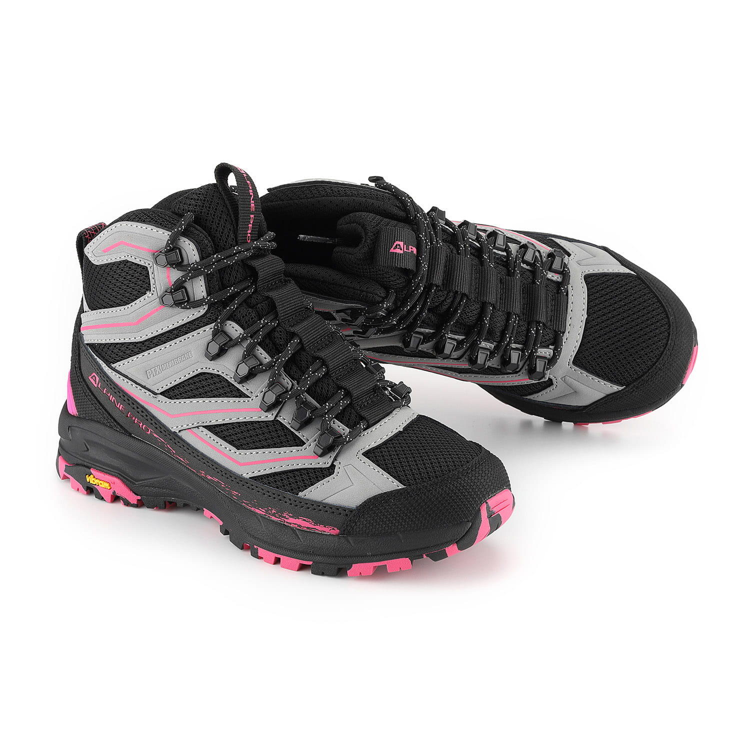 ALPINE PRO picture