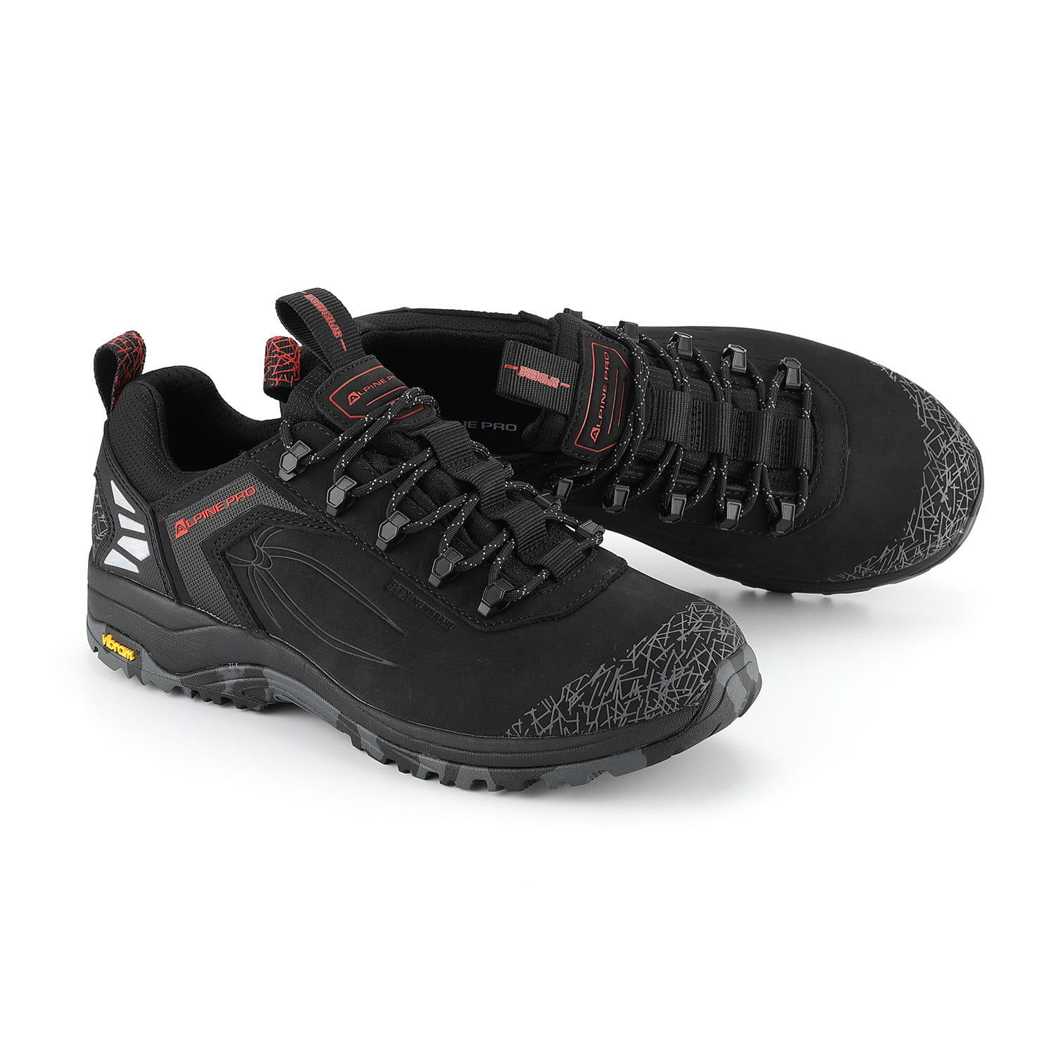 ALPINE PRO picture