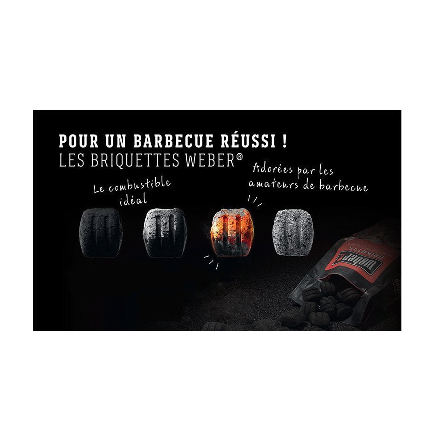 Briquettes de 4 kg de Weber 3/3