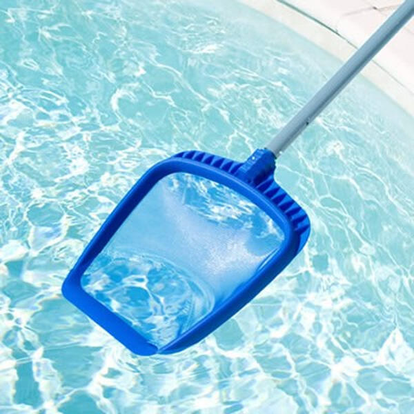 SPLASH picture