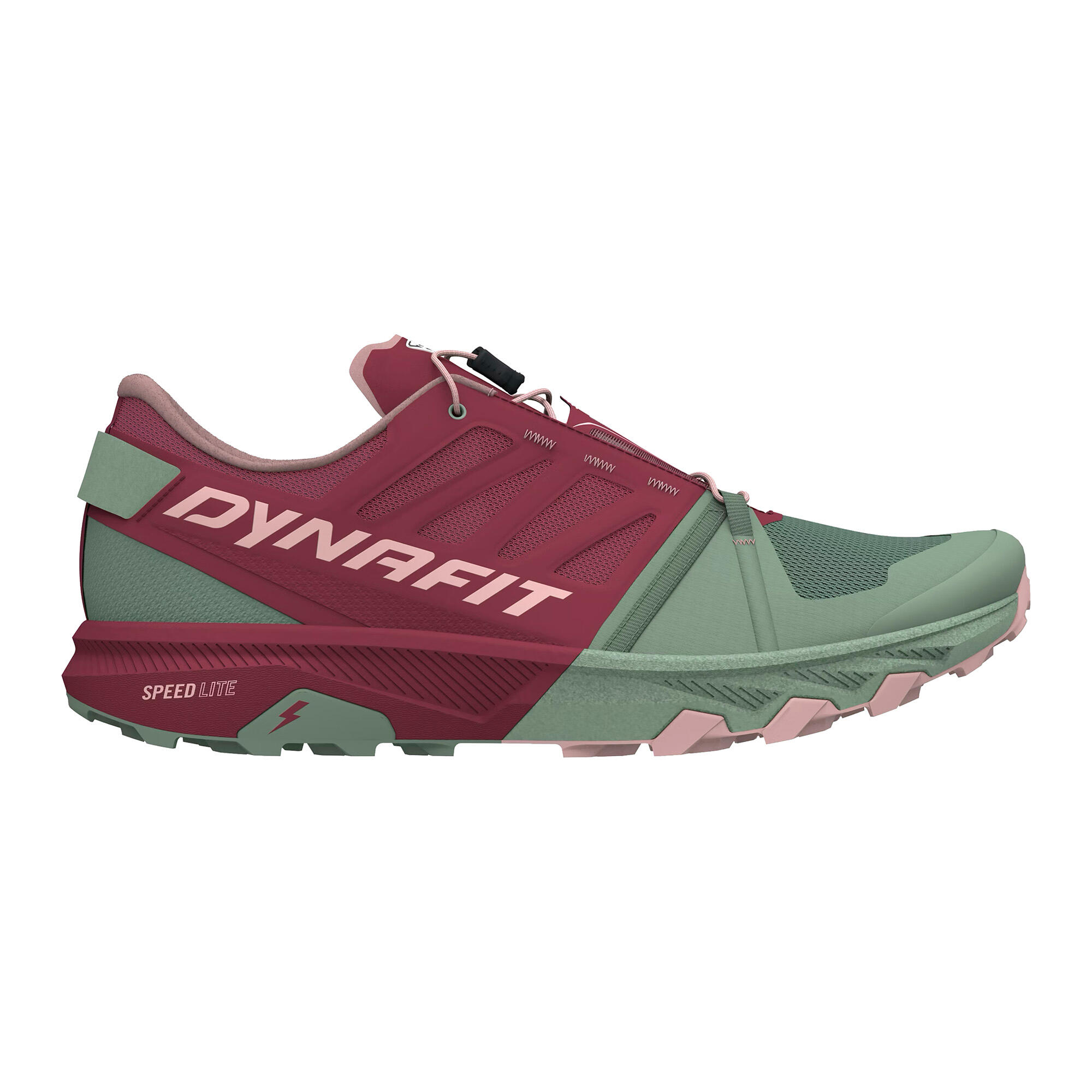 Buty do biegania damskie DYNAFIT Alpine Pro 2 4/4