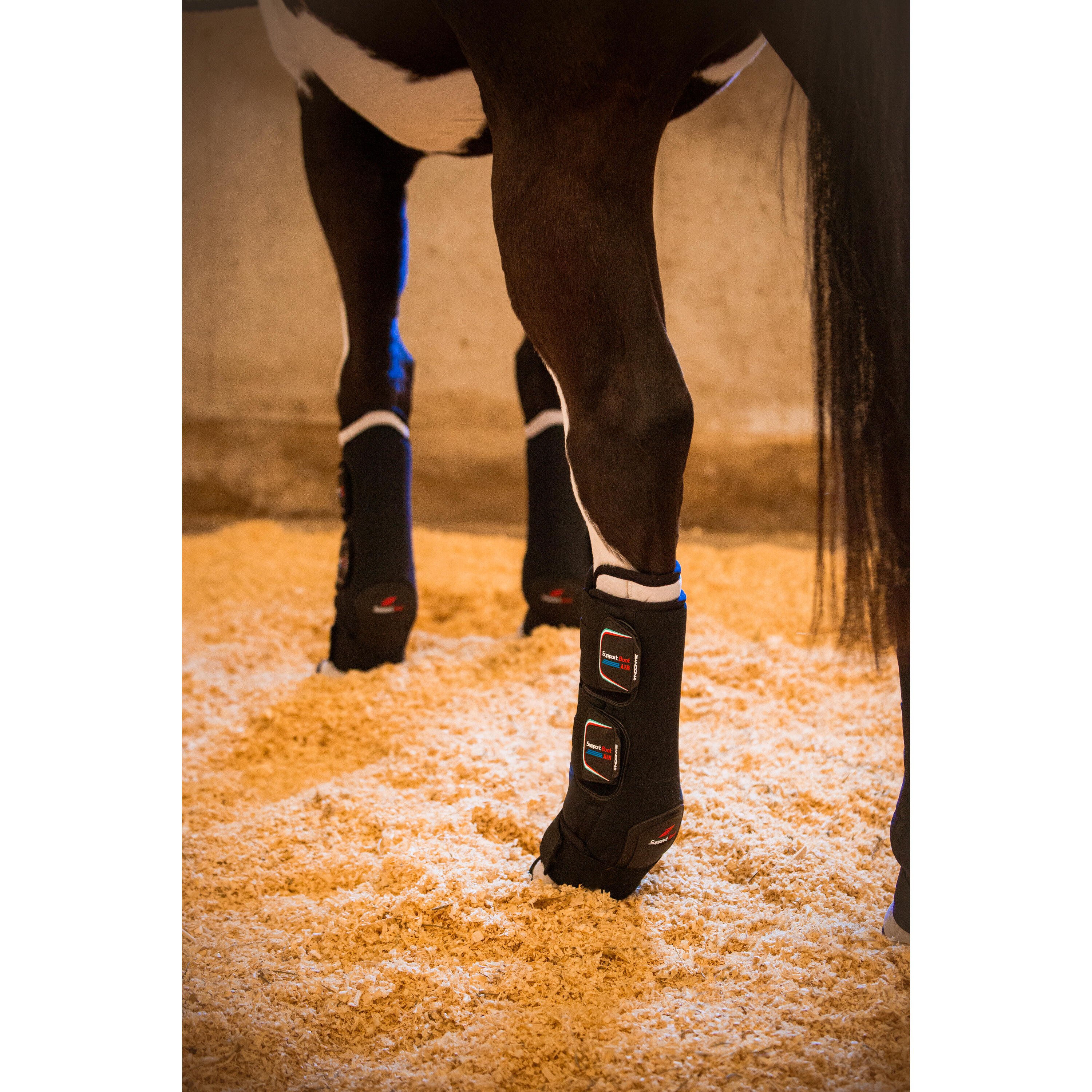 Protection de transport avant pour cheval Zandona 2/3