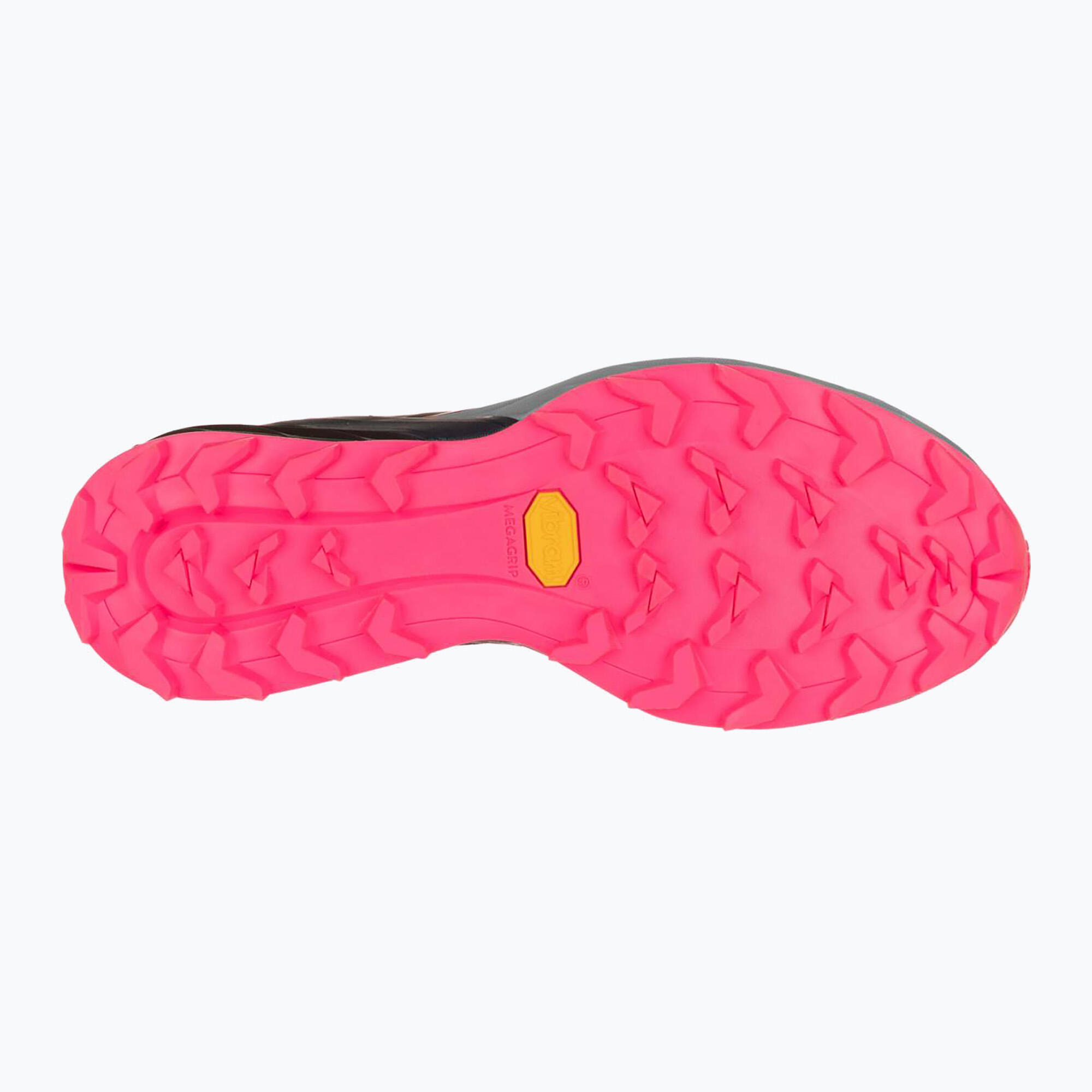 Tênis de corrida feminino DYNAFIT Alpine 2/4