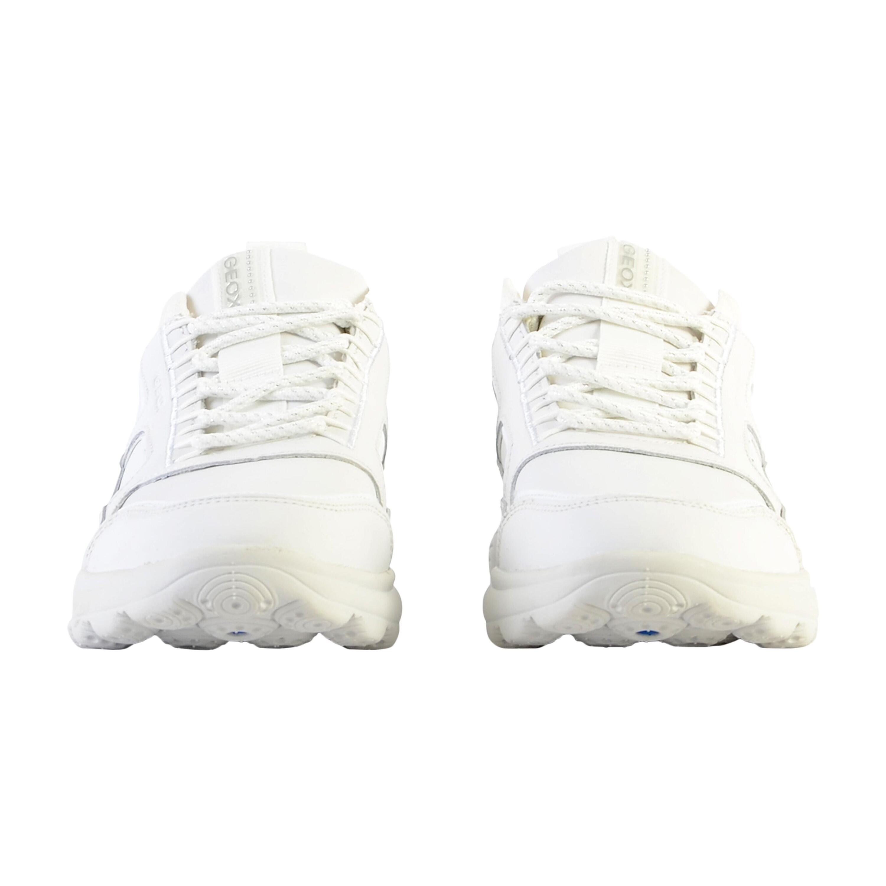 Basket Geox Cuir Spherica C - Nap+Knitt - Femme 5/5