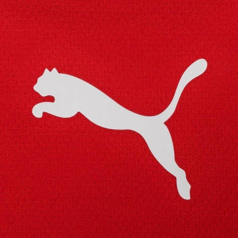 Maillot d'entrainement Puma Teamrise