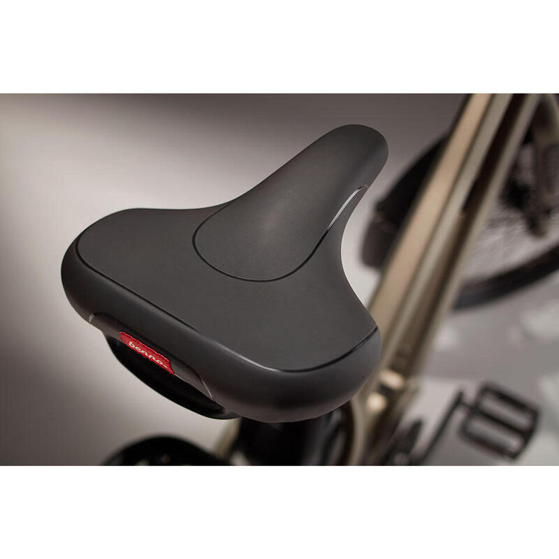 Vélo Boost 10D EVO 5 - Bosch Perf 500 - Regular - Titanium Gray (gris)
