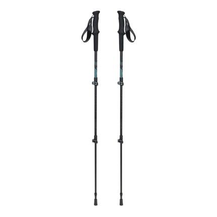 Kije karbonowe Rockland Access Lite