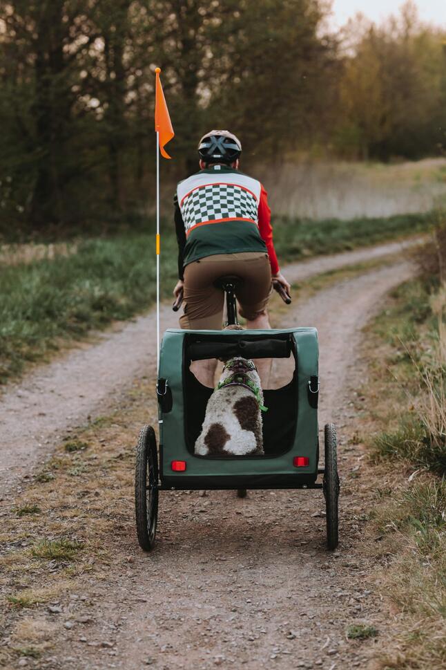 Wózek z funkcją przyczepki rowerowej dla psa PETRIVE do 40 kg