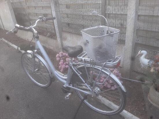 Entre Particuliers - Vélo électrique adulte