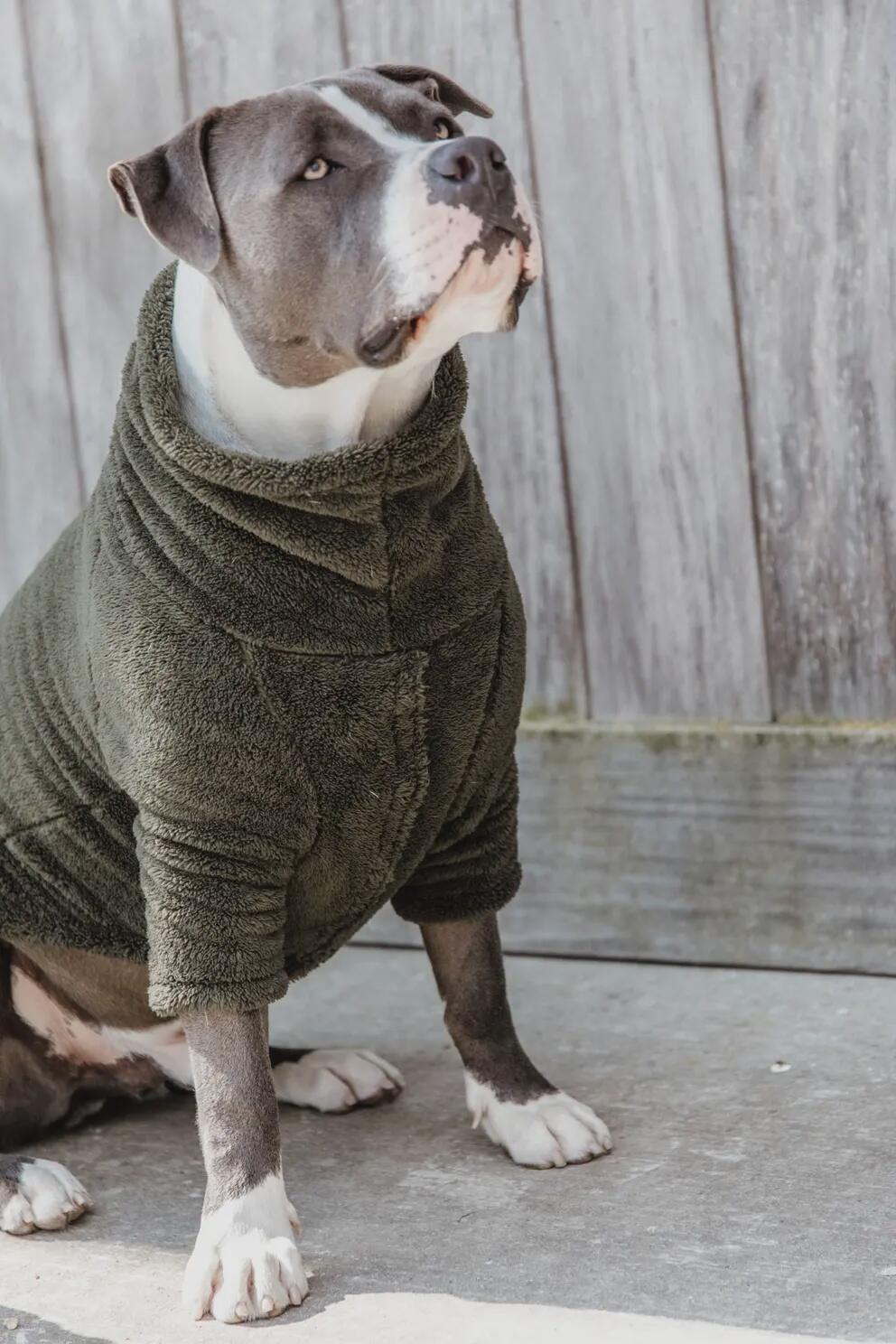 Kentucky Dog pull Teddy Fleece 1/6