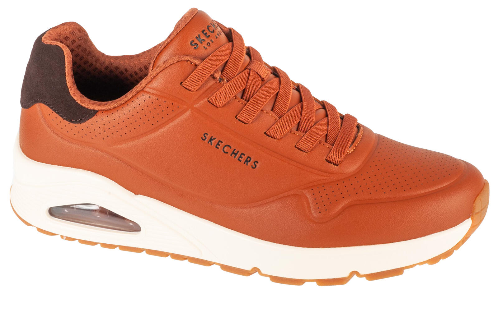 SKECHERS picture