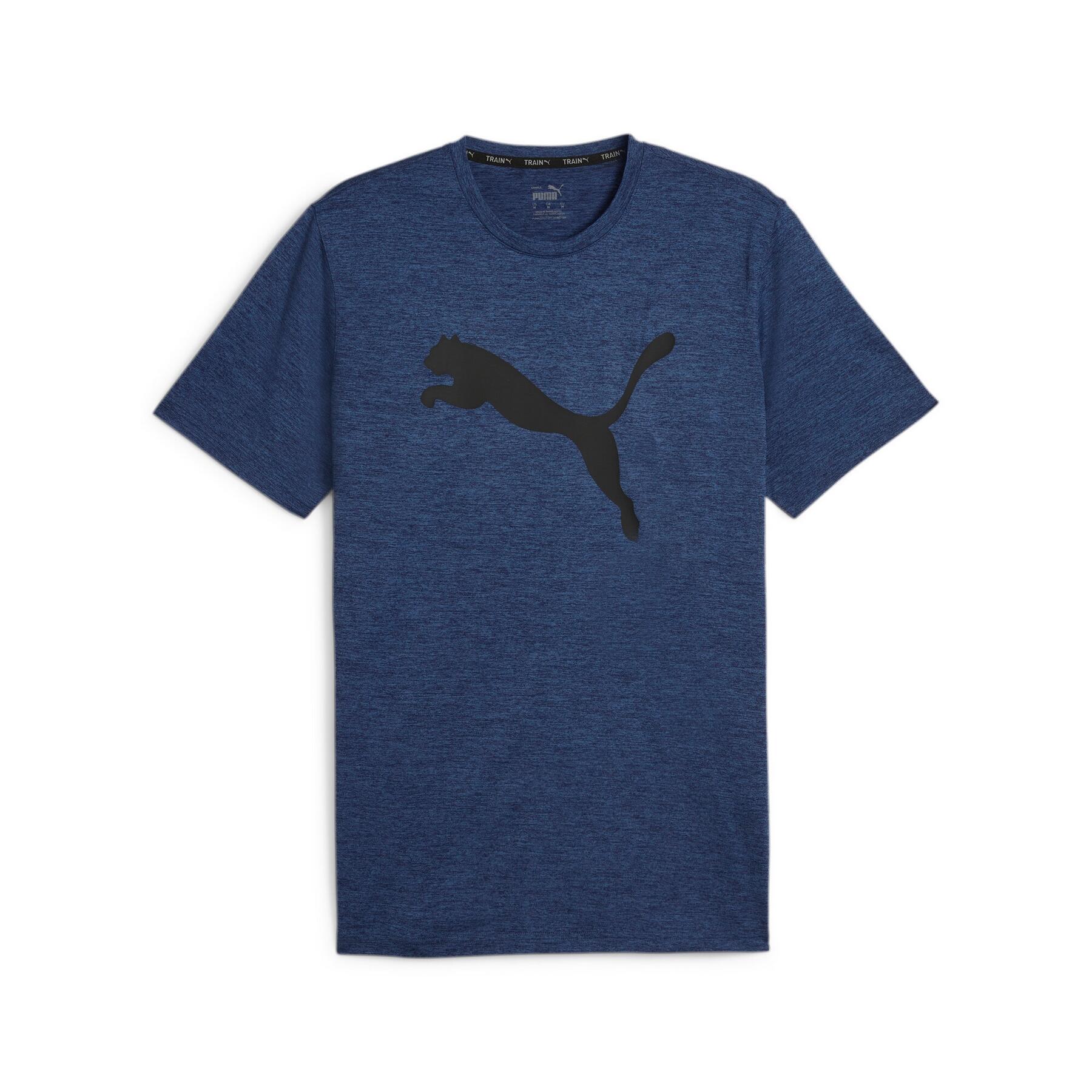 PUMA picture