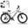 Bicicletă Electrică pentru Adulți 27,5" E-Bike, APP&NFC, RCB-G5