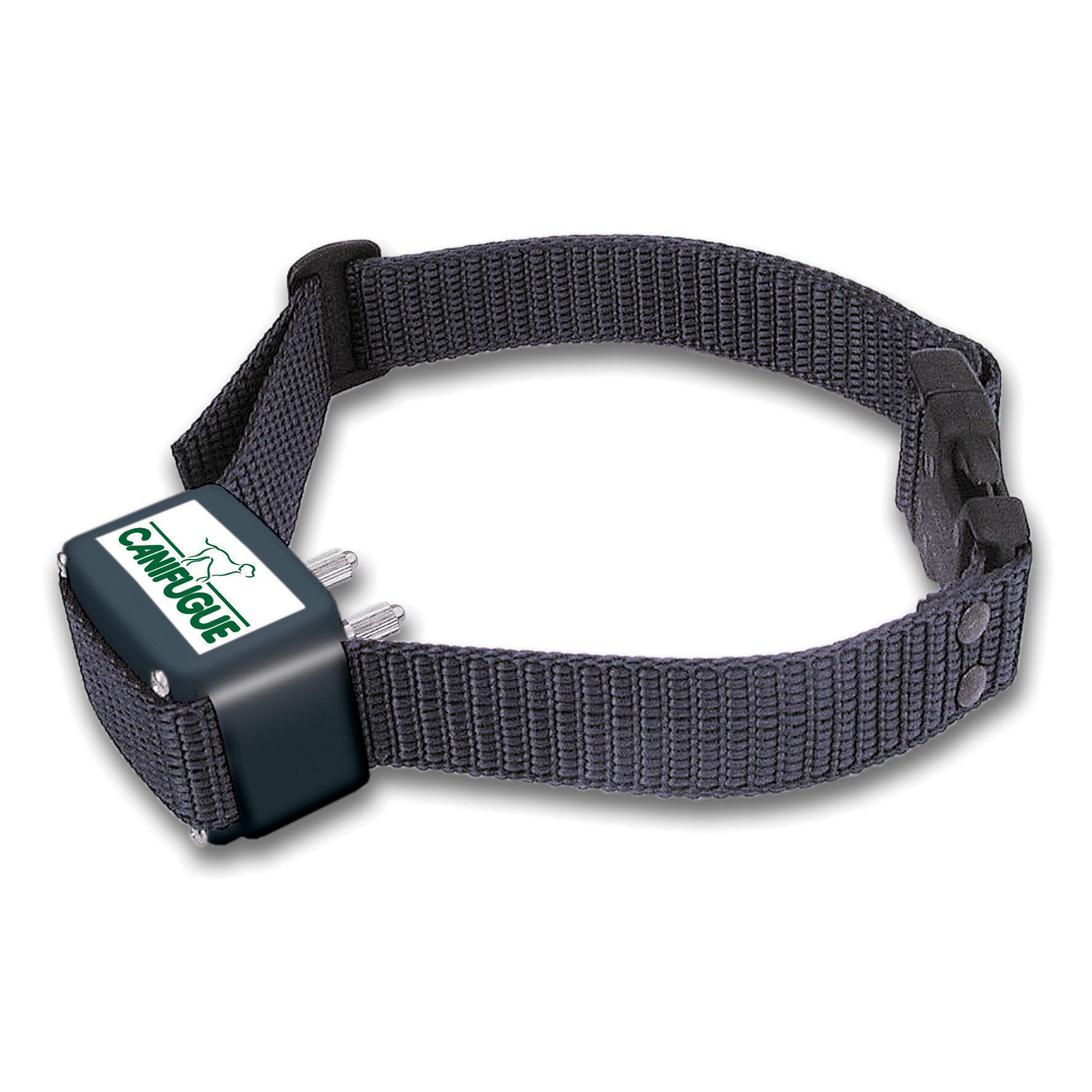 Collare anti-fuga per cani Num'axes Canifugue 2/2
