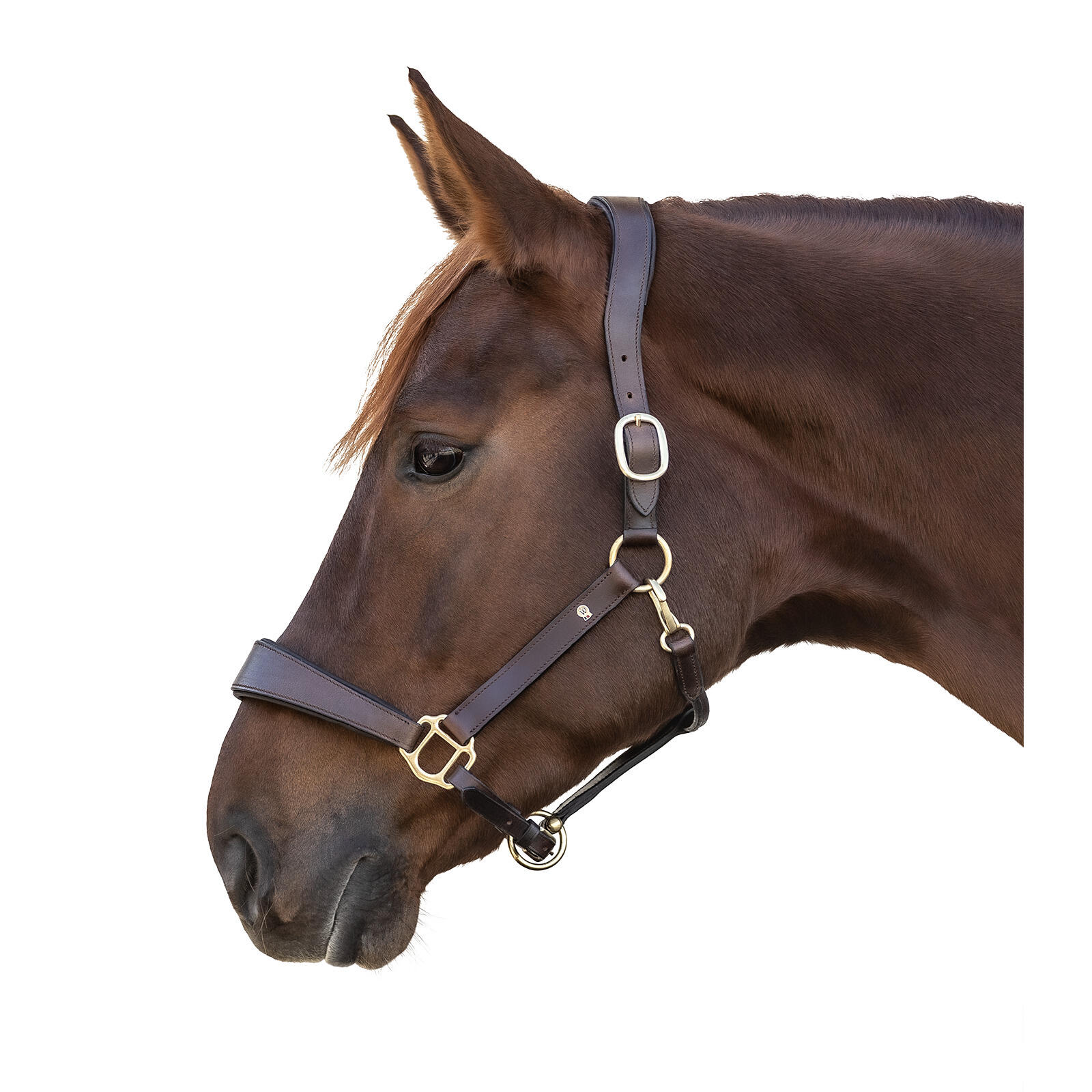 Halsband voor paard Waldhausen X-Line 2/2