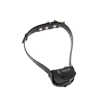 Collier de dressage pour chien Num'axes Canicom Spray