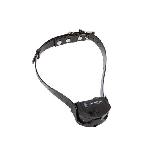 Collier de dressage pour chien Num'axes Canicom Spray