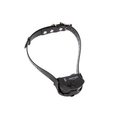 Dressurhalsband für Hunde Num'axes Canicom Spray