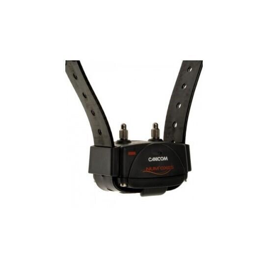 2 colliers de dressage + télécommande + mallette de transport rigide Num'axes Ca