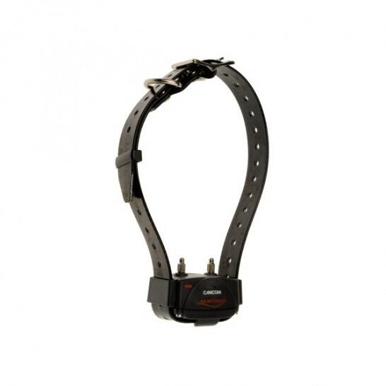 2 colliers de dressage + télécommande + mallette de transport rigide Num'axes Ca