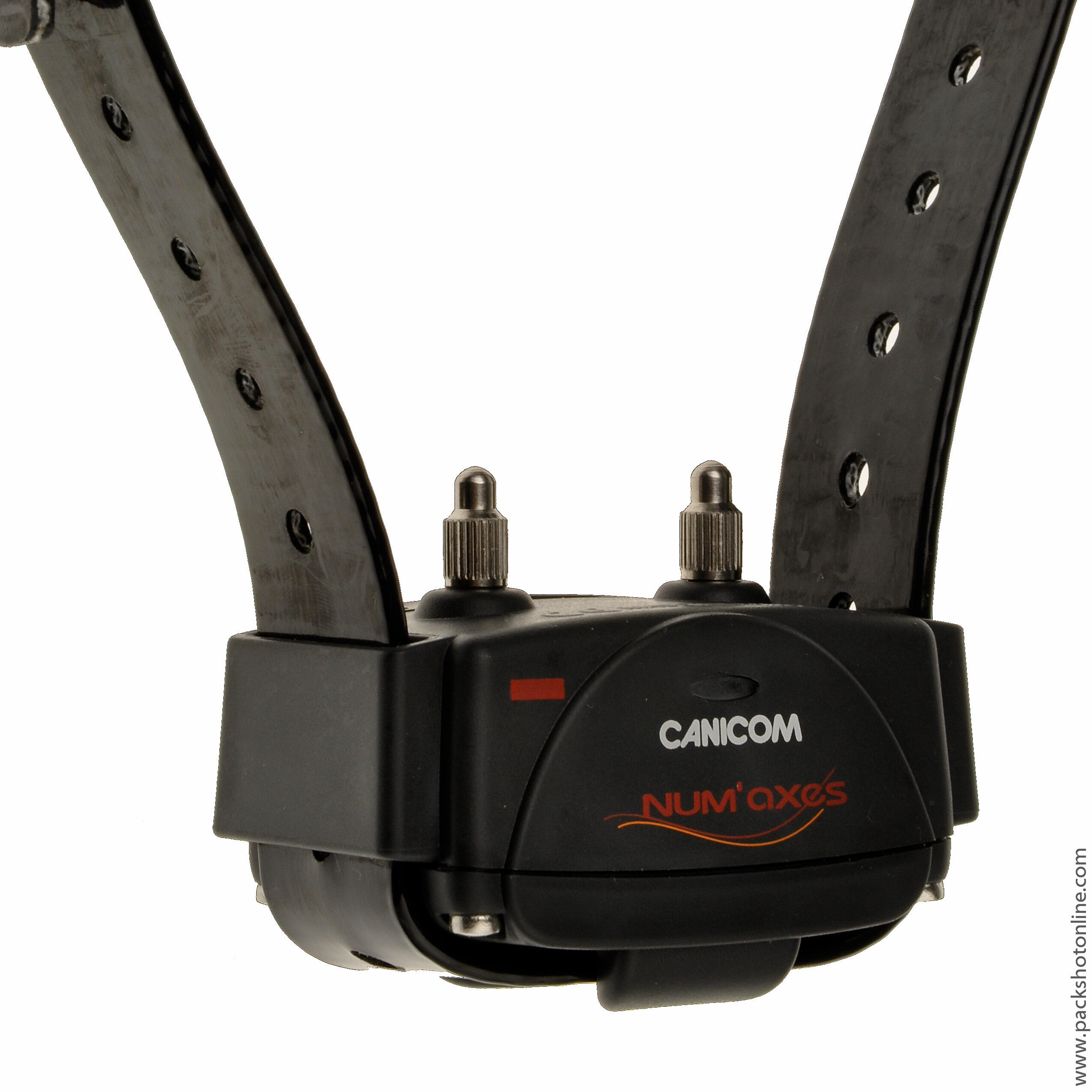 Collier de dressage seul pour chien avec sangle Num'axes Canicom 2/3