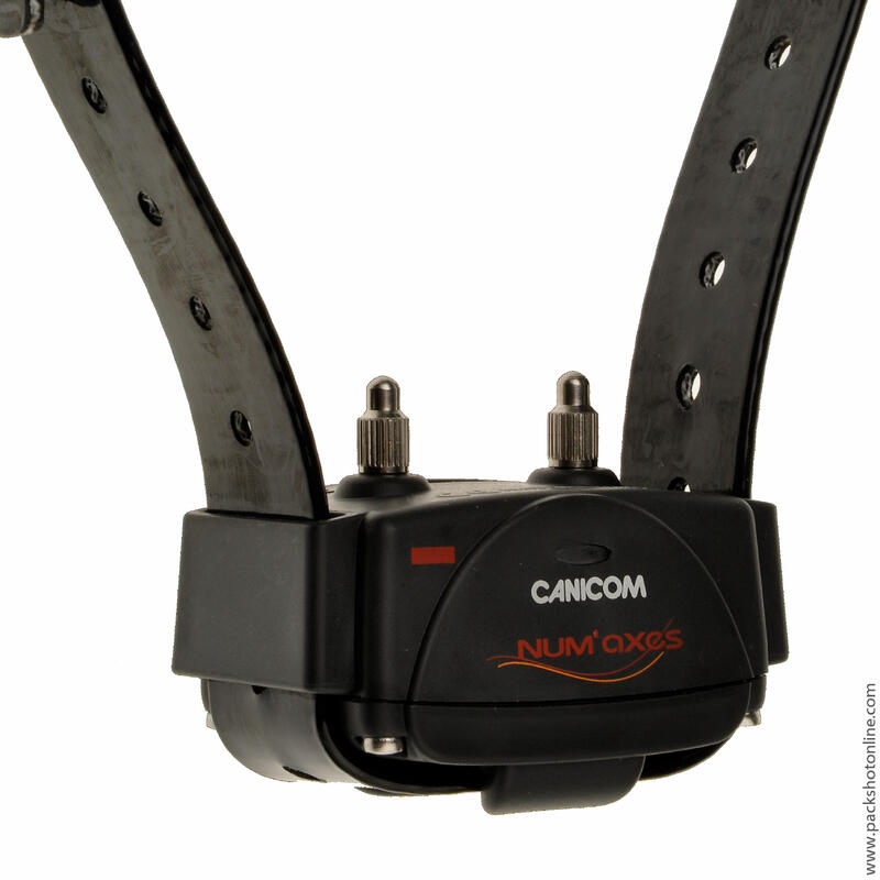 Collier de dressage seul pour chien avec sangle Num'axes Canicom
