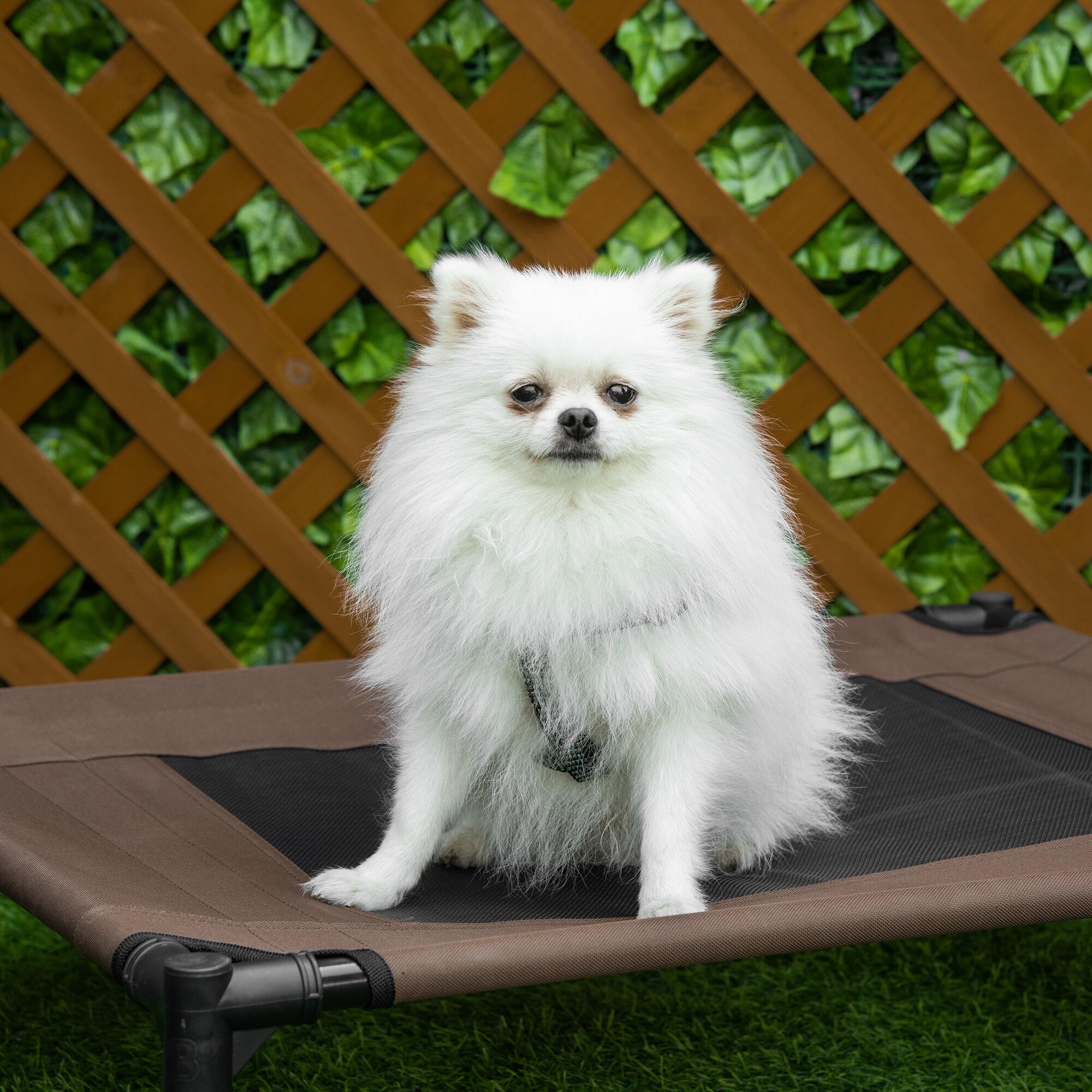 Cama Elevada para Perros PawHut 76x61x18 cm Marrón 4/6