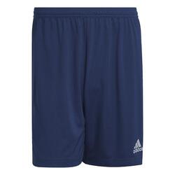 Short adidas Entrada 22