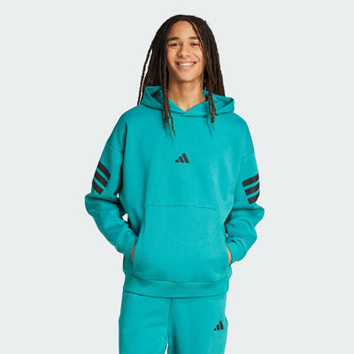 Future icons 3-stripes hoodie