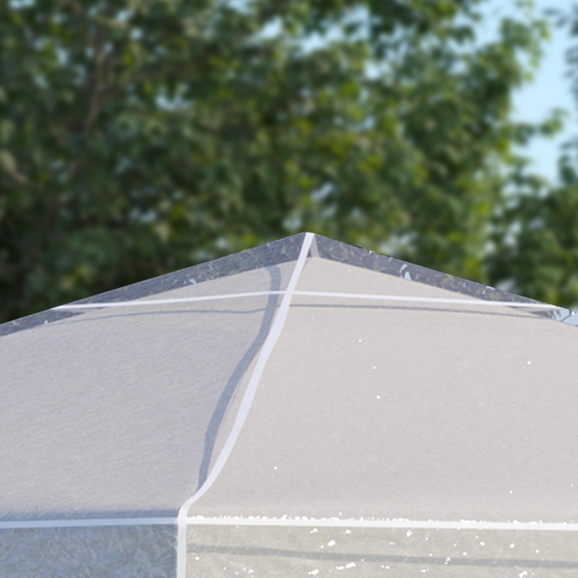 carpa eventos deportivos Outsunny 300x300x80 cm Transparente 4/7