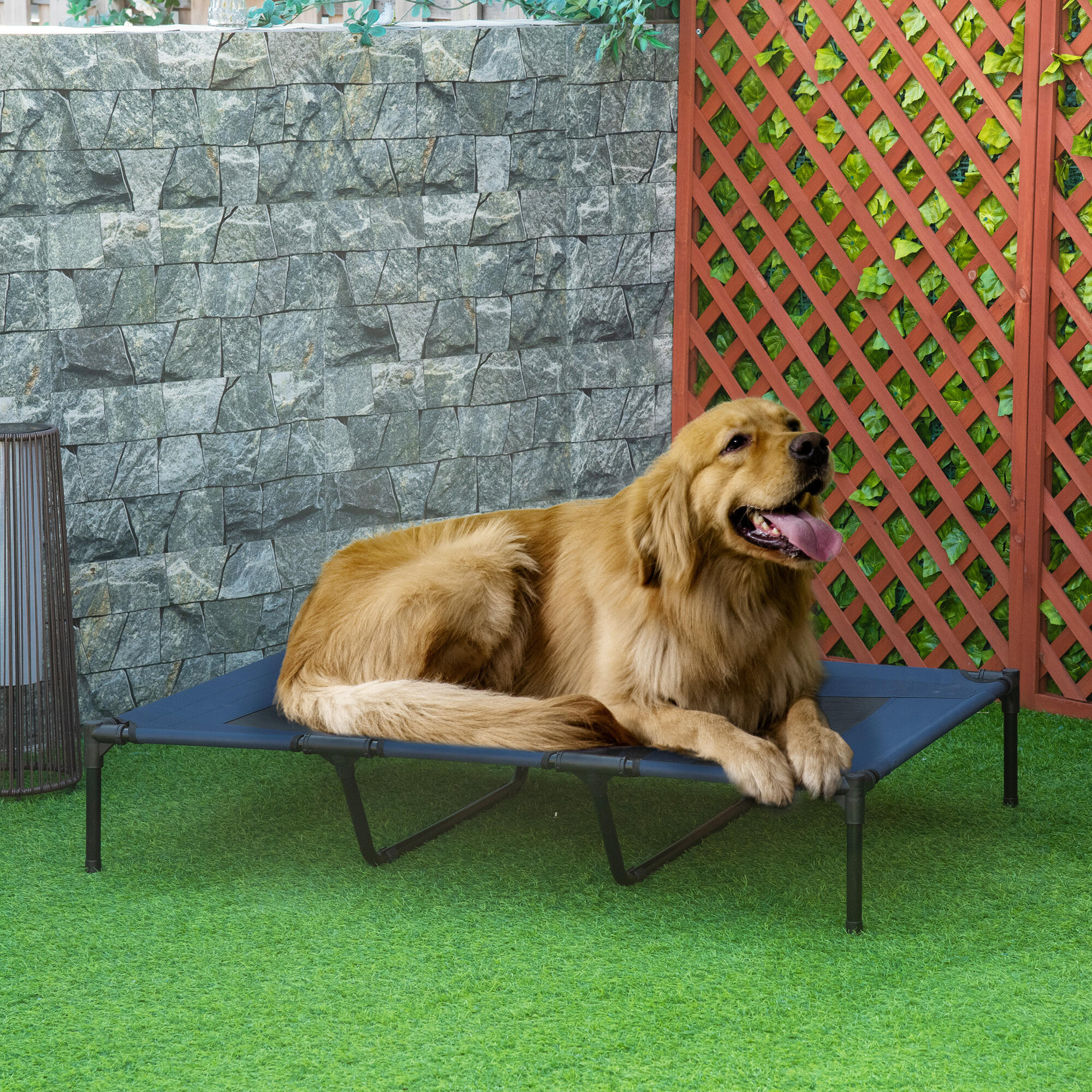 Cama Elevada para Perros PawHut 122x92x23 cm Azul 2/7